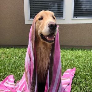 Meet your Posher, Maddie